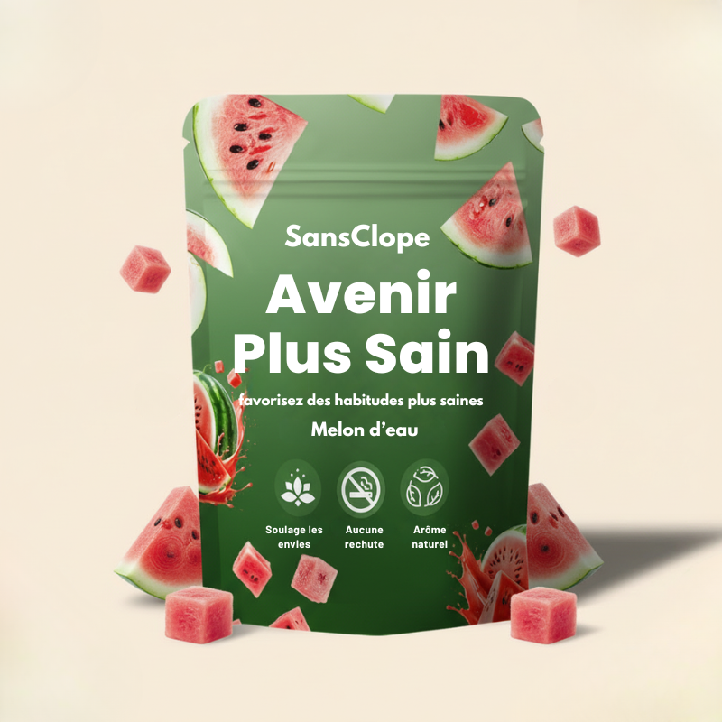 Sachet de tiges aromatiques SansClope saveur Melon